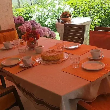 In With Swimming Pool Holiday home Punat