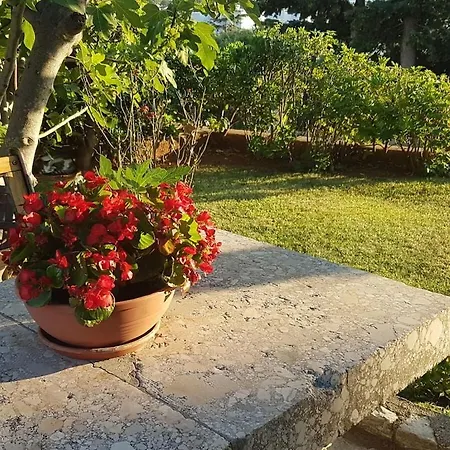 Nyaraló In With Swimming Pool